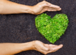 Love-Earth-This-Valentines - Holistic Pest Solutions