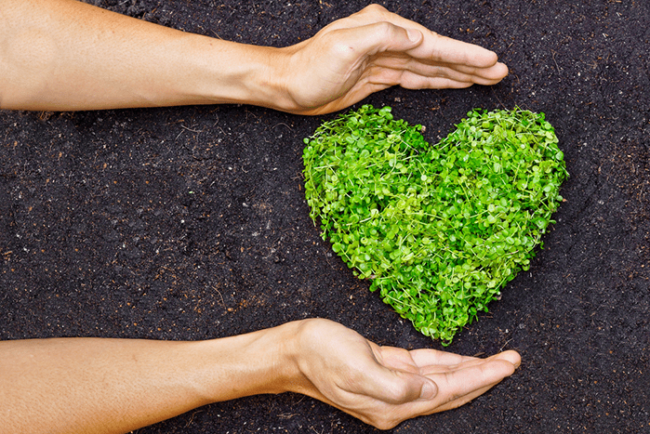 Love-Earth-This-Valentines - Holistic Pest Solutions