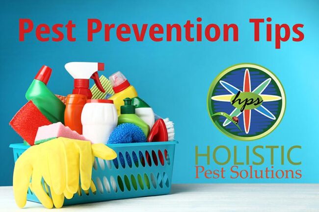 TIPS-TO-KEEPING-YOUR-HOME-PEST-FREE