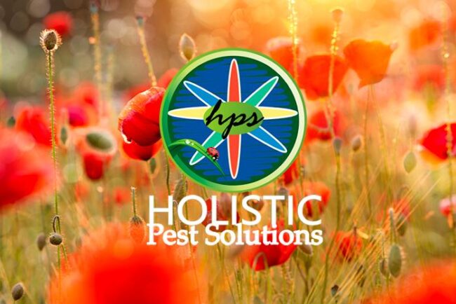 Spring-Pests Holistic Pest Solutions