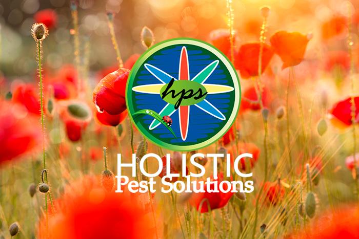 Spring-Pests Holistic Pest Solutions
