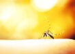 mosquito-onslaught-holistic-pest-solutions